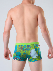 Плавки Geronimo модель 1801b1 Фото