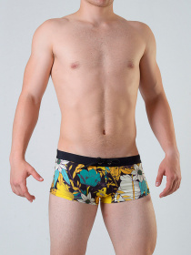 Плавки Geronimo модель 1801b2 Фото