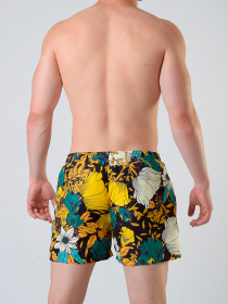 Шорты для плавания Geronimo модель 1801p1 Фото