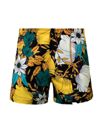 Шорты для плавания Geronimo модель 1801p1 Фото