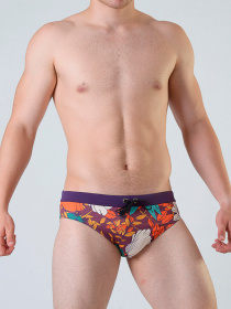 Плавки Geronimo модель 1801s2 Фото