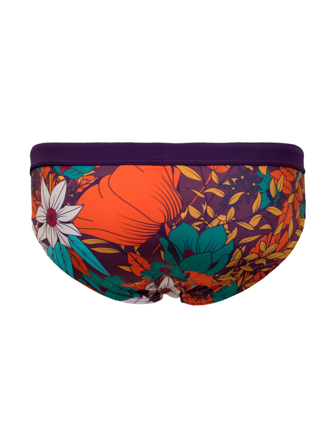 Плавки Geronimo модель 1801s2 Фото