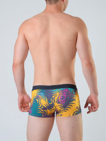 Плавки Geronimo модель 1804b1 Фото