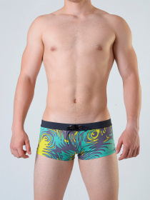 Плавки Geronimo модель 1804b2 Фото