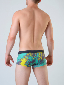 Плавки Geronimo модель 1804b2 Фото