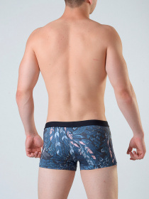 Плавки Geronimo модель 1806b1 Фото