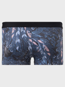 Плавки Geronimo модель 1806b1 Плавки Geronimo модель 1806b1 Фото