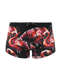 Плавки Geronimo модель 1914b1 Фото