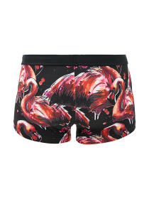 Плавки Geronimo модель 1914b1 Плавки Geronimo модель 1914b1 Фото