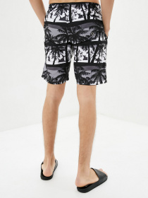 Шорти для плавання Geronimo модель 1915p4 Фото