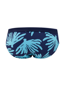 Плавки Geronimo модель 2020s2 Фото