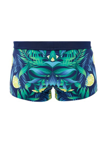 Плавки Geronimo модель 2021b1 Фото