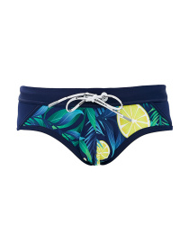 Плавки Geronimo модель 2021s4 Плавки Geronimo модель 2021s4 Фото