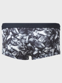 Плавки Geronimo модель 2026b2_Grey Фото