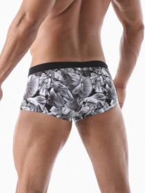 Плавки Geronimo модель 2026b2_Grey Фото