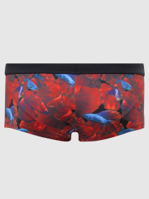 Плавки Geronimo модель 2026b2_Red Плавки Geronimo модель 2026b2_Red Фото