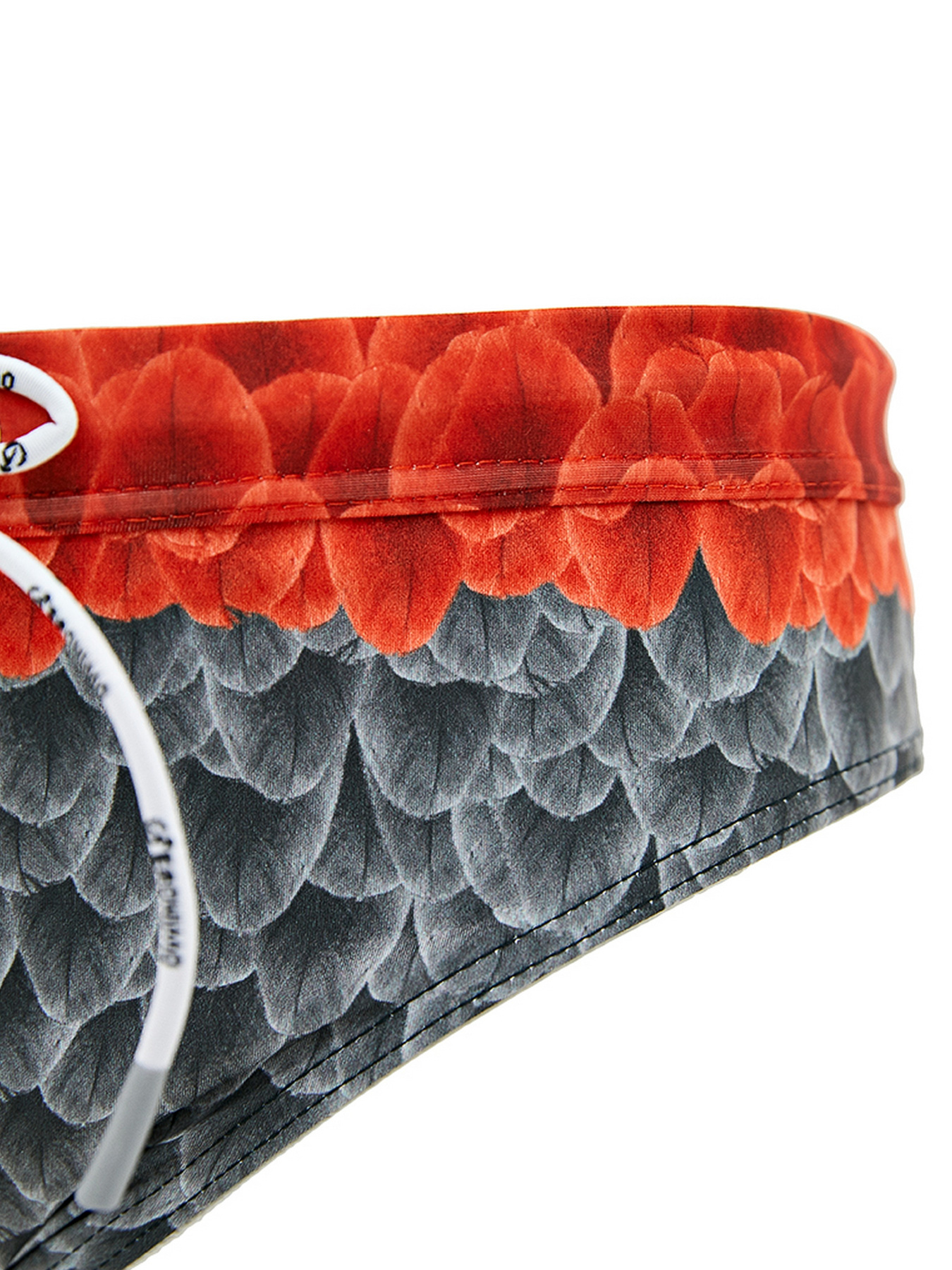 Плавки Geronimo модель 2027s2 Фото