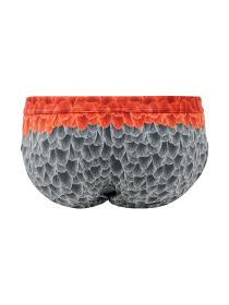 Плавки Geronimo модель 2027s2 Фото