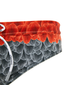 Плавки Geronimo модель 2027s2 Фото