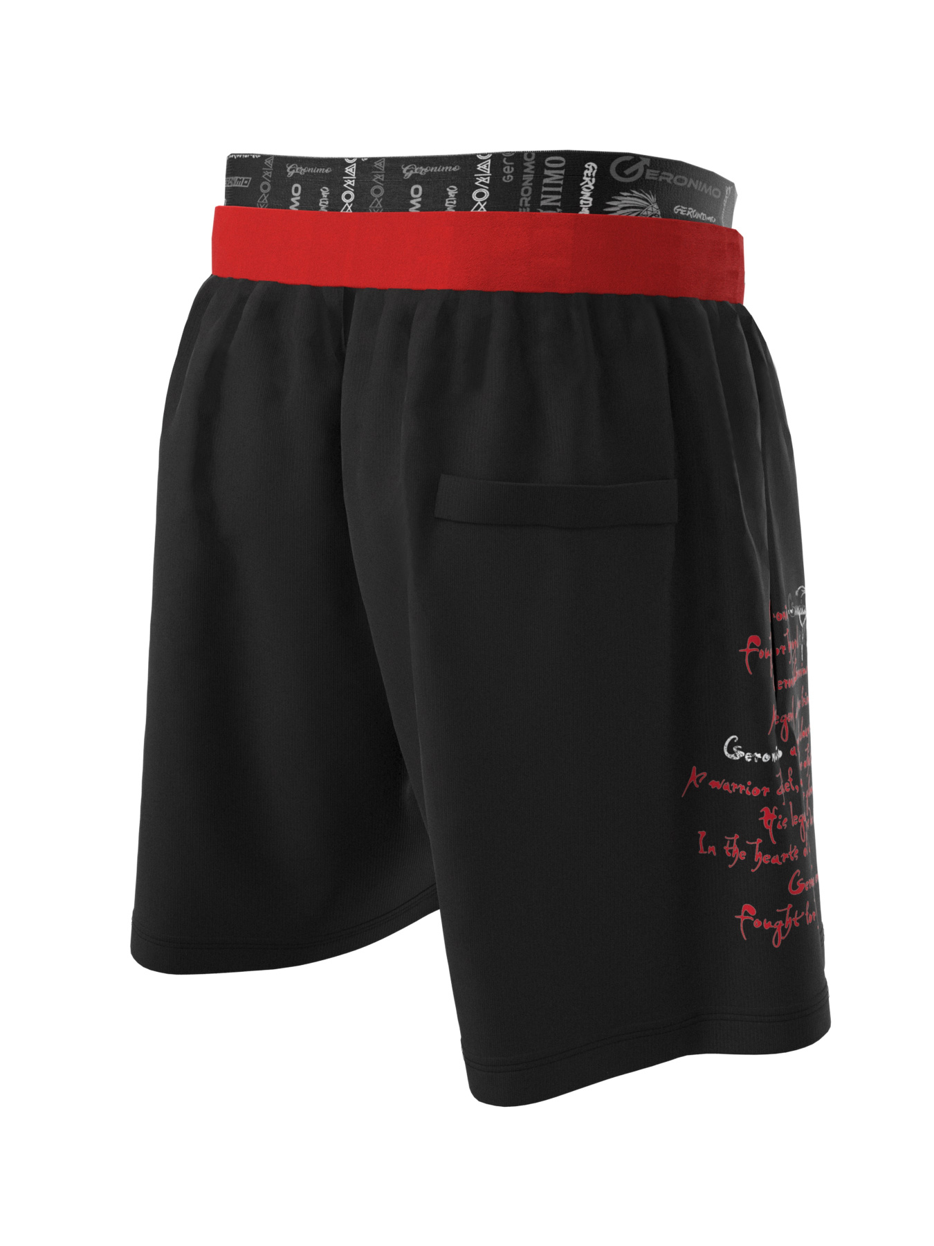 Шорты для плавания Geronimo модель 2302p1 Фото