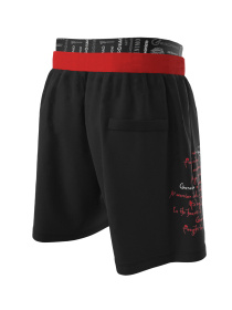 Шорты для плавания Geronimo модель 2302p1 Фото