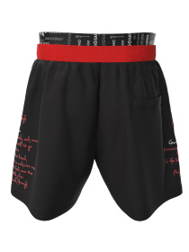 Шорты для плавания Geronimo модель 2302p1 Фото