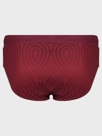 Плавки Geronimo модель 2402s2 Фото