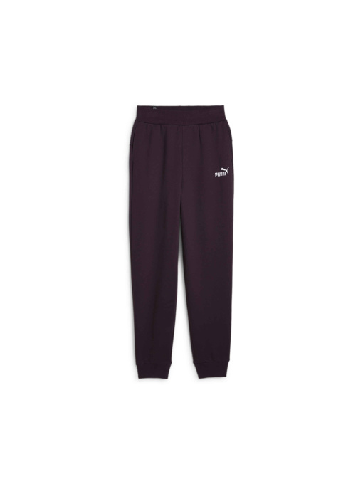 Спортивні штани PUMA Ess+ Embroidery Pants модель 670007 Фото