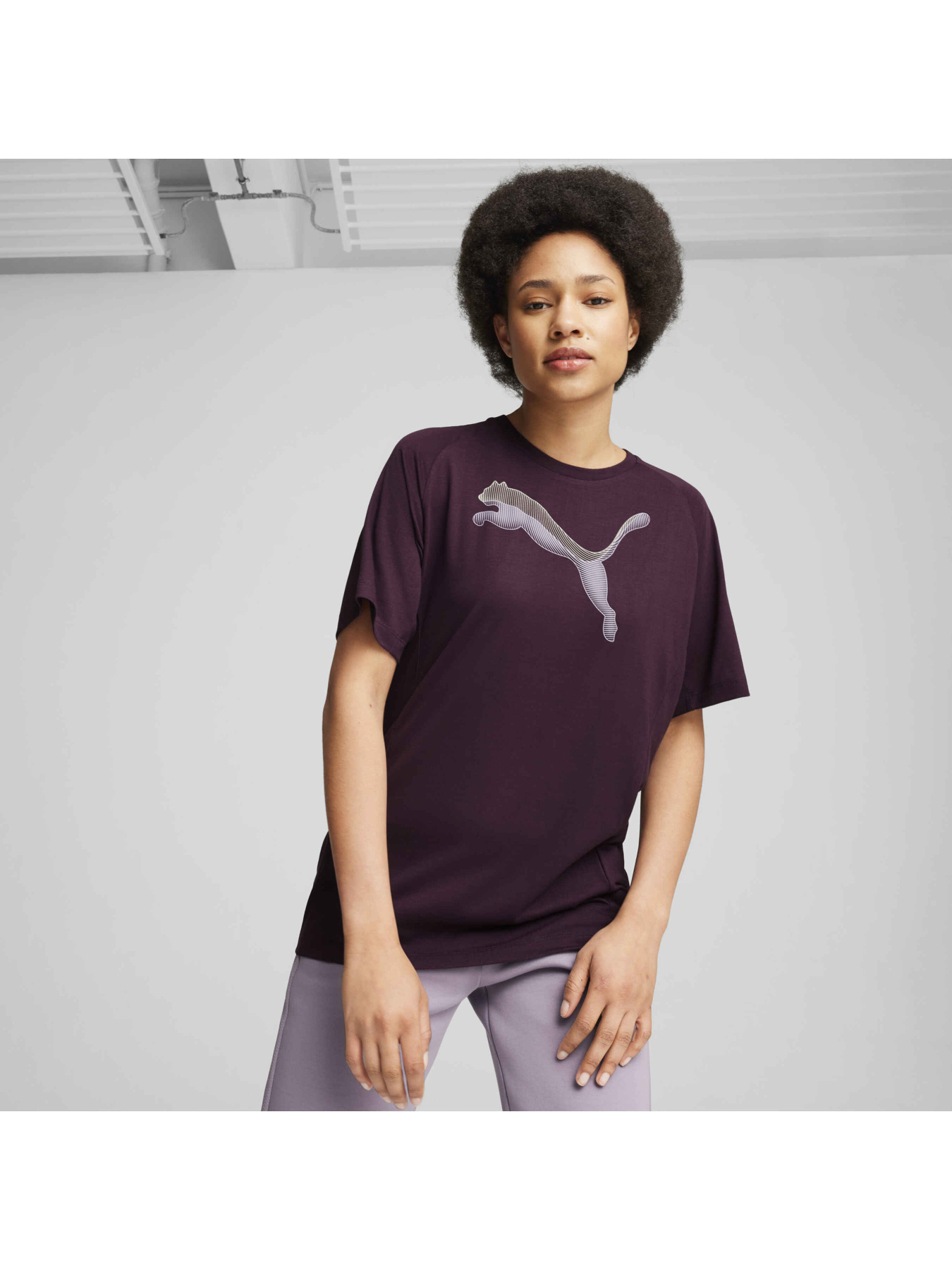 Футболка спортивная PUMA Evostripe Tee модель 681668 Фото