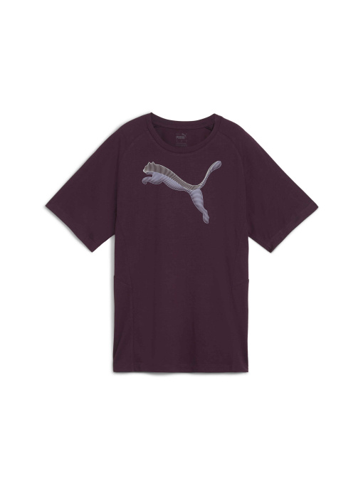 Футболка спортивная PUMA Evostripe Tee модель 681668 Фото