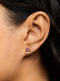 Серьги-гвоздики TOUS модель 1004255300 Фото