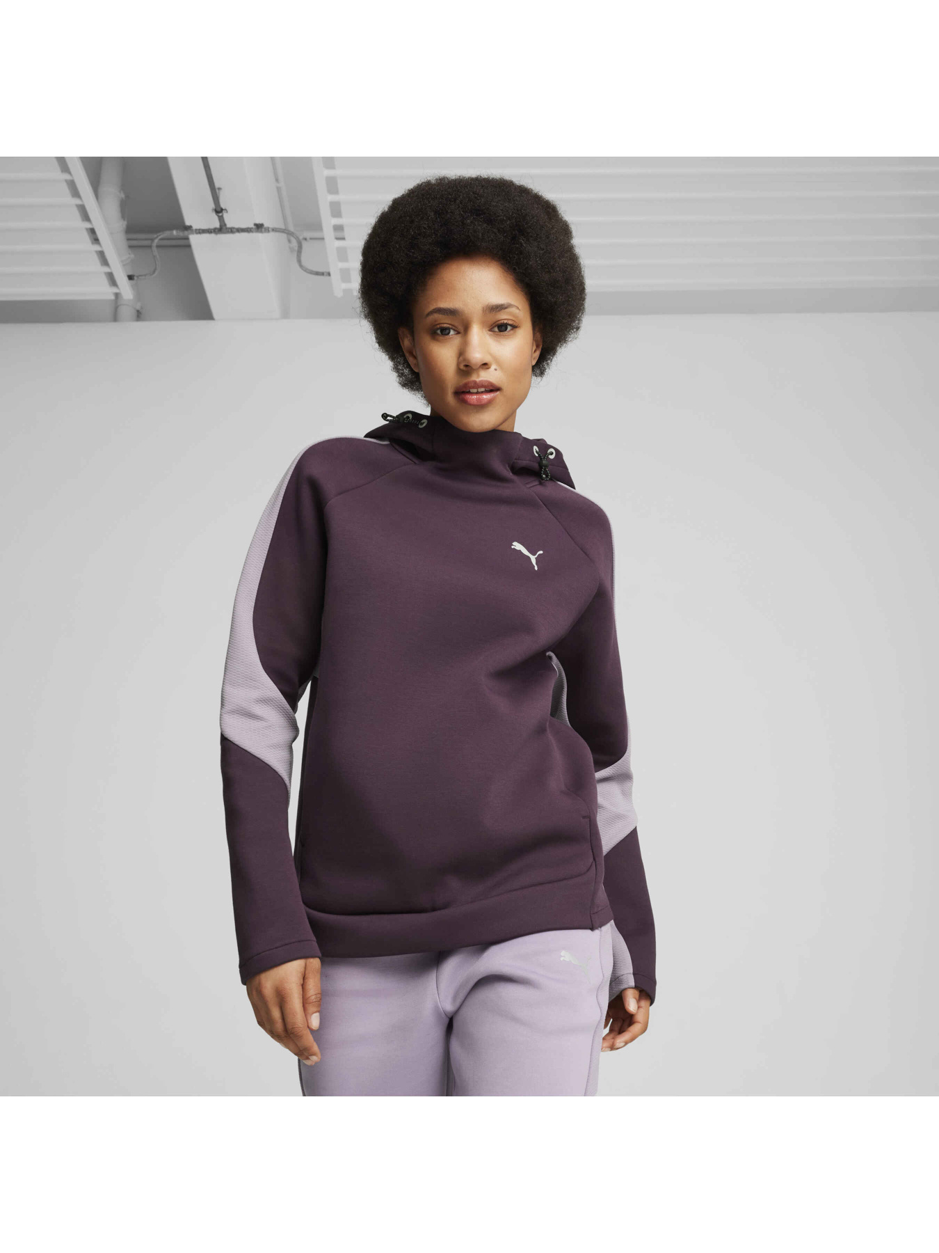 Худі PUMA Evostripe Hoodie модель 681669 Фото