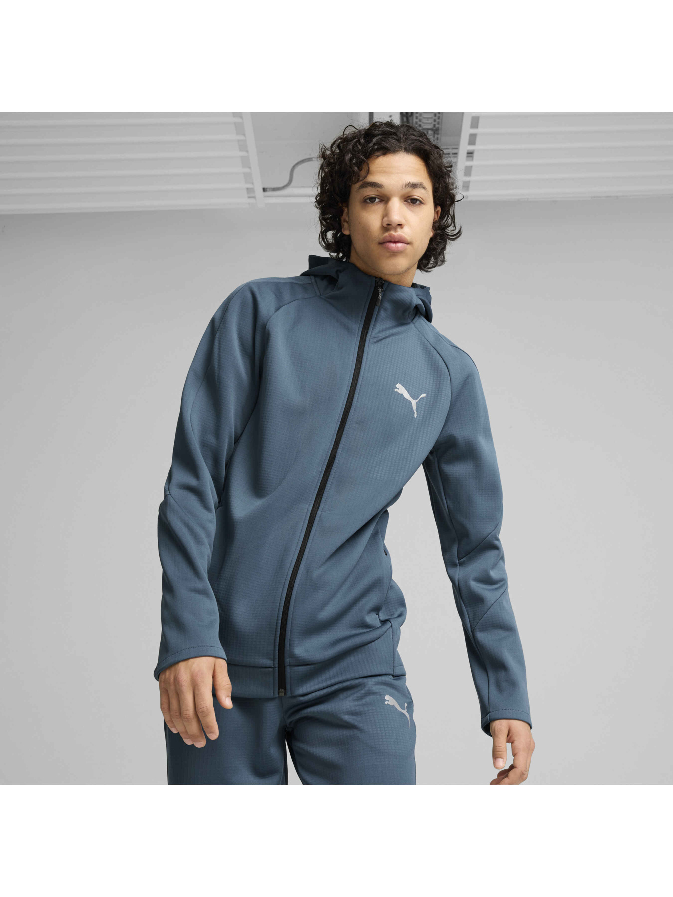 Кофта спортивная PUMA Evostripe Full-zip Hoodie модель 681703 Фото