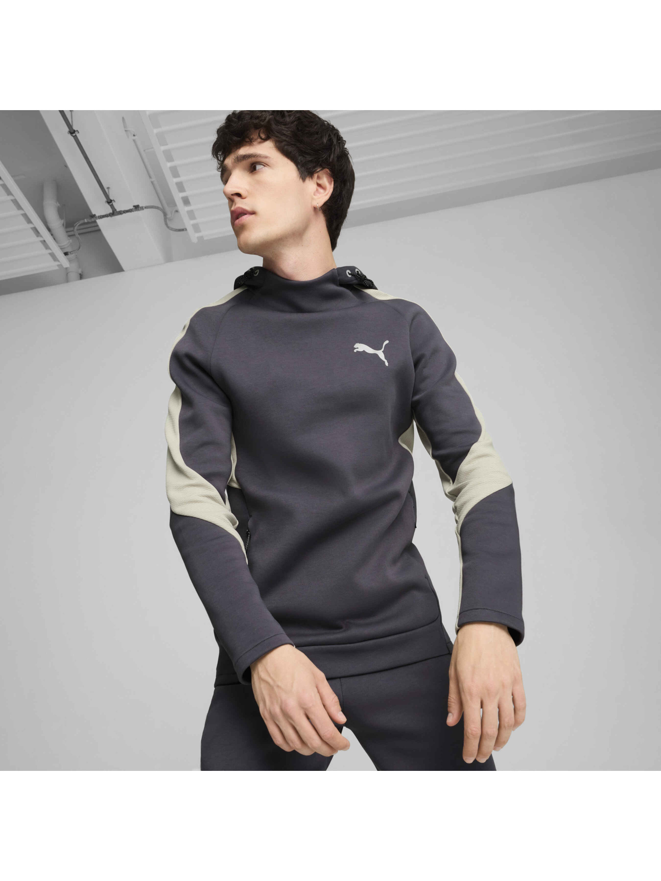 Худи PUMA Evostripe Hoodie модель 681699 Фото