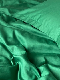Простирадло без резинки зелене Cozy модель 9700840 Фото