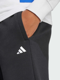 Брюки Adidas модель IW0221 Фото