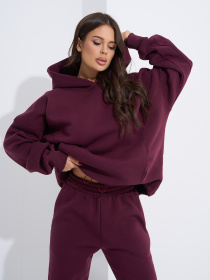 Спортивный костюм ISSA Plus модель 14948_темно_бордовый Спортивный костюм ISSA Plus модель 14948_темно_бордовый Фото