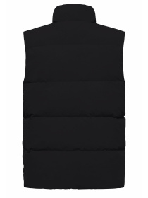 Жилет з утеплювачем Jack Wolfskin Nordlicht модель A60089_6000 Фото