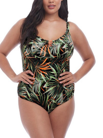 Купальник ELOMI Amazonia модель 7160 Купальник ELOMI Amazonia модель 7160 Фото