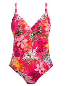 Купальник Fantasie Anguilla модель 6588 Фото