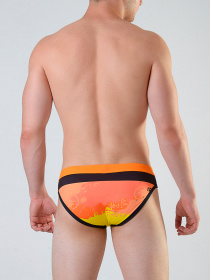 Плавки Geronimo модель 1817s2 Фото