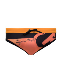 Плавки Geronimo модель 1817s2 Плавки Geronimo модель 1817s2 Фото