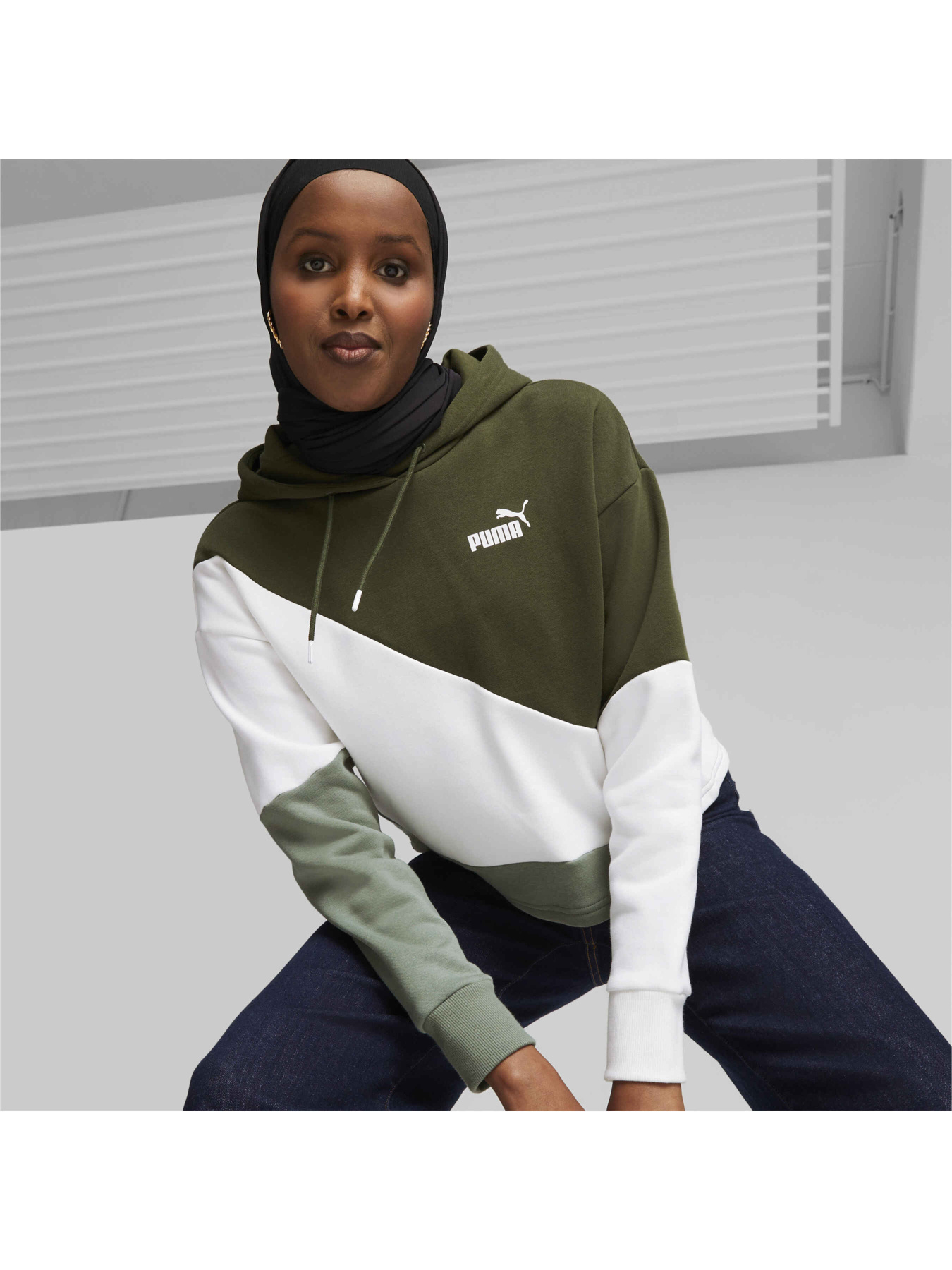 Світшот PUMA Power Cat Hoodie Fl модель 623259 Фото