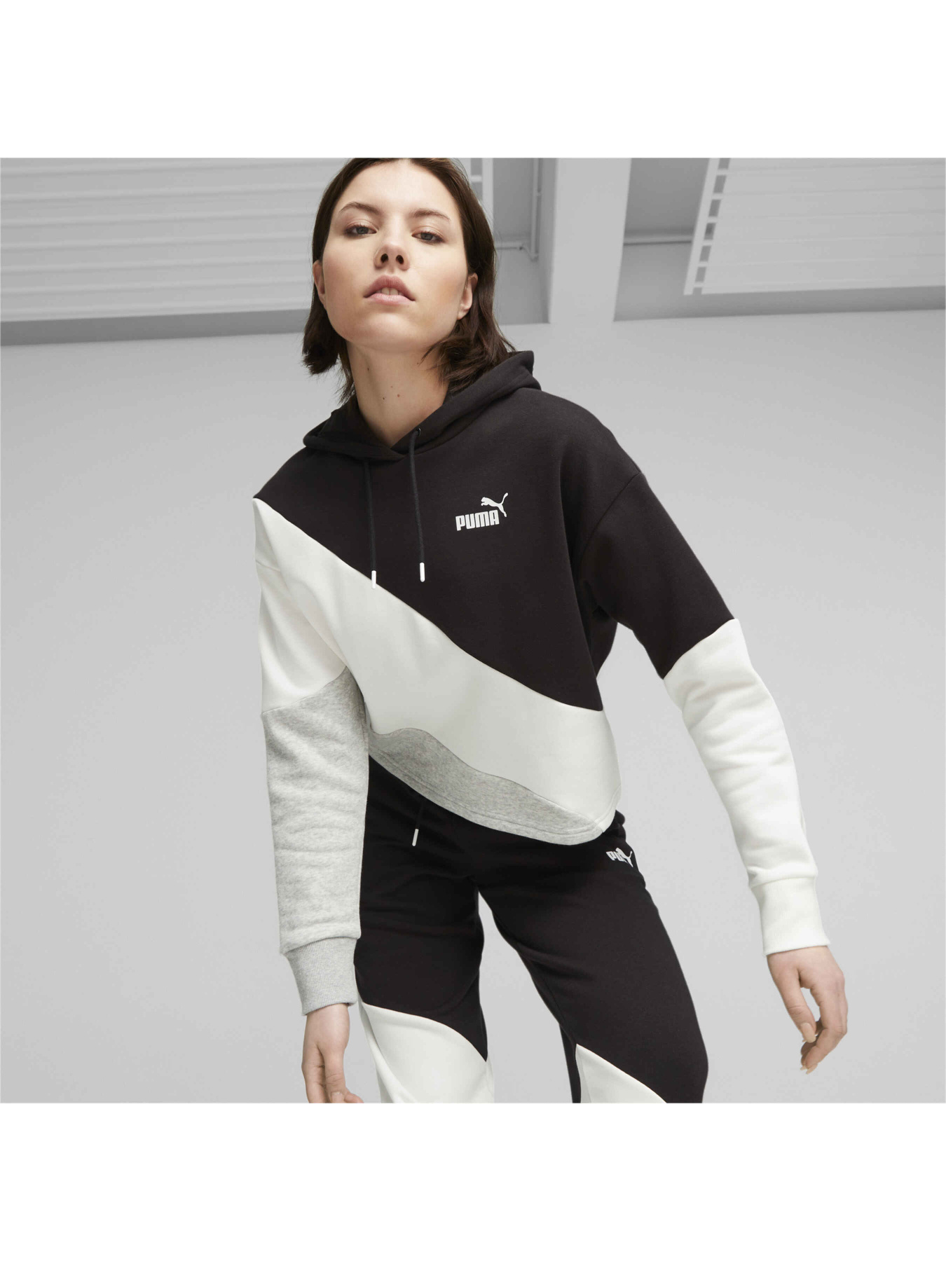 Світшот PUMA Power Cat Hoodie Fl модель 623259 Фото