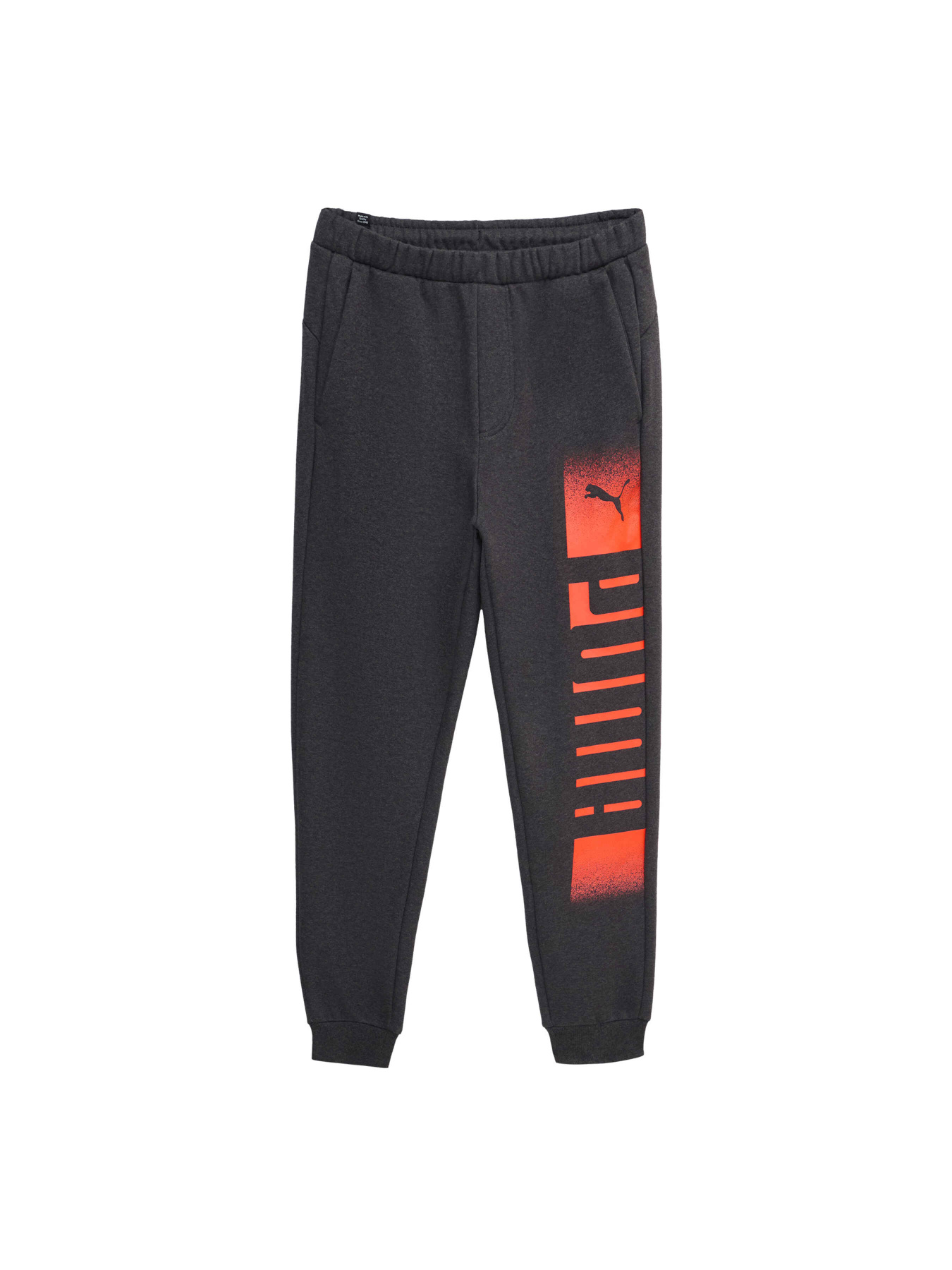 Штаны спортивные PUMA Sweatpants Fl модель 589616 Фото