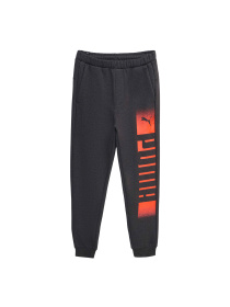 Штаны спортивные PUMA Sweatpants Fl модель 589616 Фото