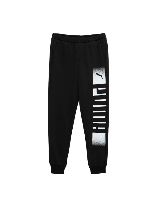 Штани спортивні PUMA Sweatpants Fl модель 589616 Фото