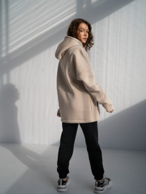 Худи TeamV модель 230-1-3 Фото