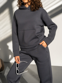 Повседневный костюм TeamV модель 550-3 Фото