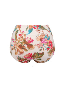 Низ купальника GOSSARD Bird of Paradise модель 8874 Низ купальника GOSSARD Bird of Paradise модель 8874 Фото